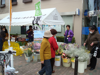 豊島物産市